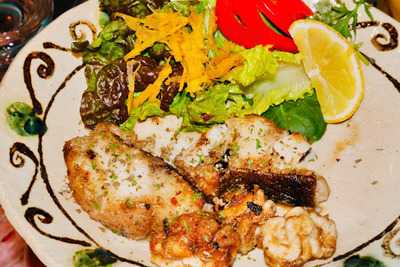 琉球どさんこ しぶ猫