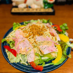 琉球どさんこ しぶ猫