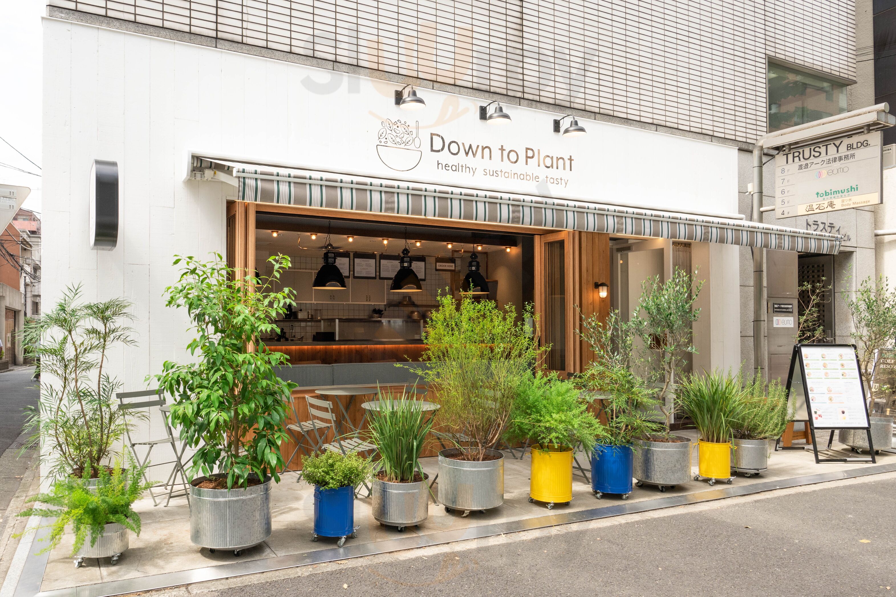 ダウントゥプラント 六本木店