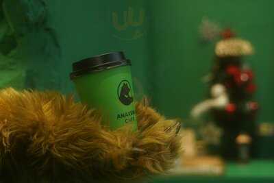 Anakuma Cafe