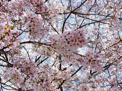 Boul’ange あざみ野ガーデンズ店