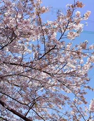 Boul’ange あざみ野ガーデンズ店