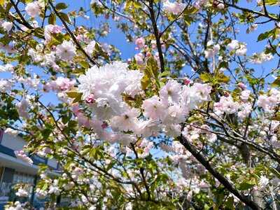 Boul’ange あざみ野ガーデンズ店