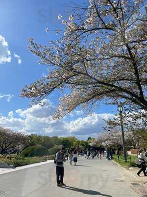 Hoop Coffee 大阪城公園