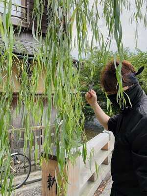 Ninja Cafe & Bar 京都