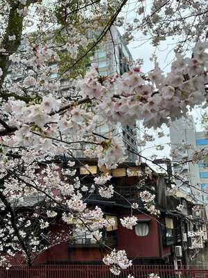 Bar 帆 ‐ハン‐  