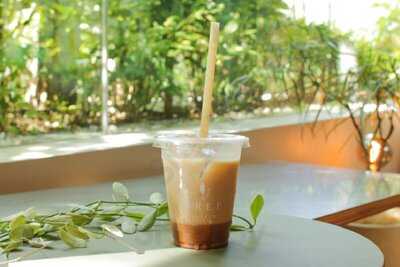 Tree By Naked Meiji Park