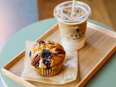 Tree By Naked Meiji Park