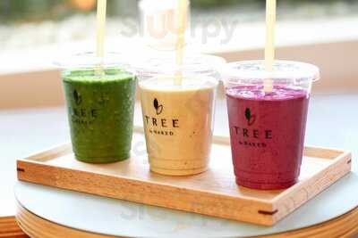 Tree By Naked Meiji Park