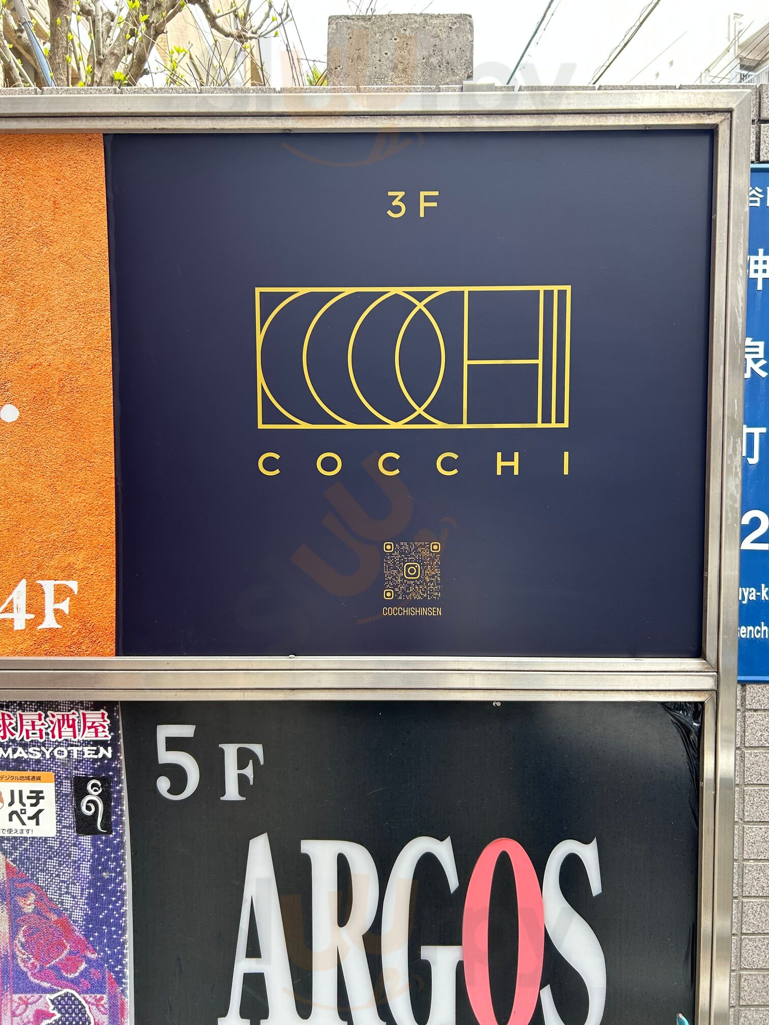 Cocchi コッキ