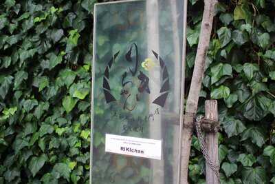 黒毛和牛ヘレ肉専門店 炭火焼肉 りきちゃん 北浜店