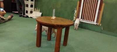 マイピッグカフェ原宿店