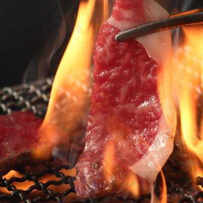 焼肉ホルモン まんのや 関目店