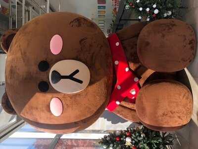 라인프렌즈 카페 가로수길점