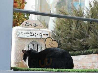 마우스 래빗 커피