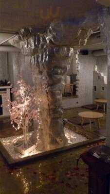 마우스 래빗 커피