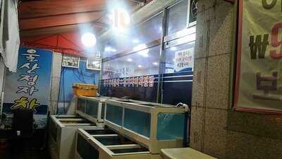 울산정자참가자미