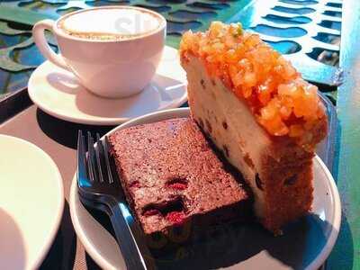 앤트러사이트 커피 로스터