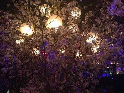 제이제이 마호니즈