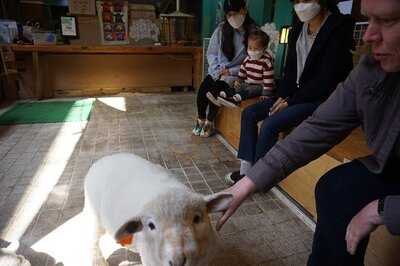 땡스 네이쳐 카페