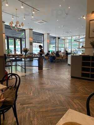 더 페이머스 램