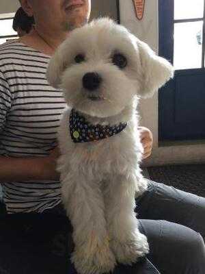 Fell + Cole 홍대본점