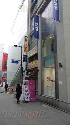 명동 고양이다락방