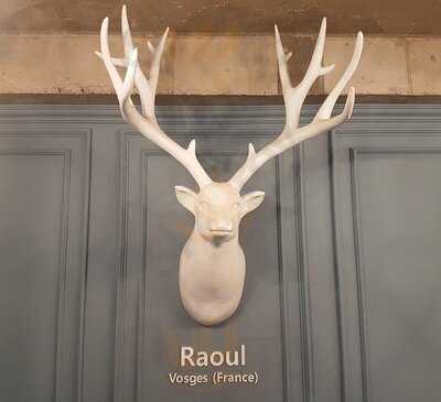 플람스비스트로 서초점