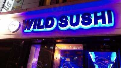 와일드스시