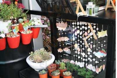 그레이몽키 왕산점