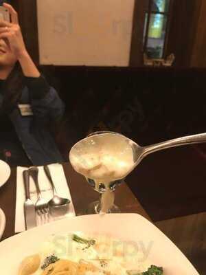 프리모바치오바치