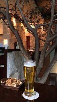 타니 넥스트도어