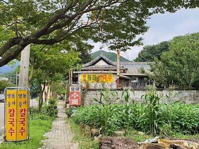 영동들깨칼국수