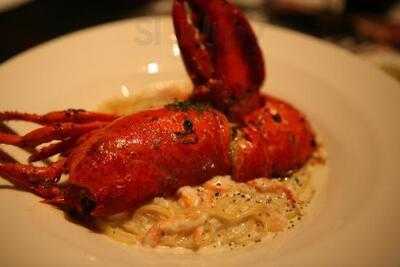 메드포갈릭 광화문점