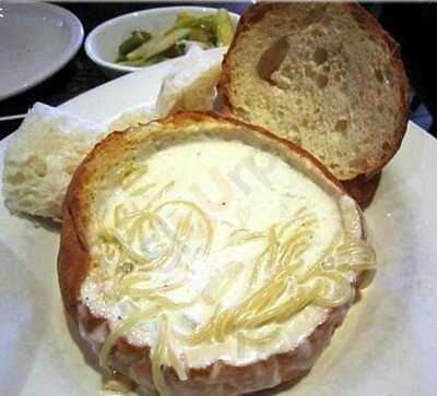 프리모바치오바치