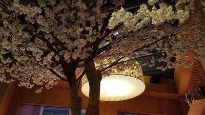 아비꼬 강남역점