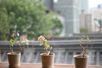 전광수커피하우스 북촌점