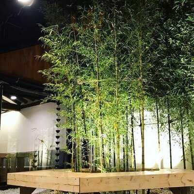 제이히든하우스