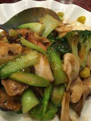 꽁시면관 동대문점