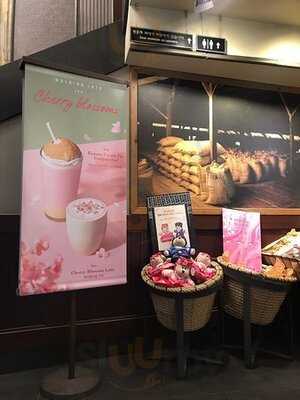 스타벅스 명동입구점