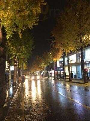 아비꼬 신사가로수길점