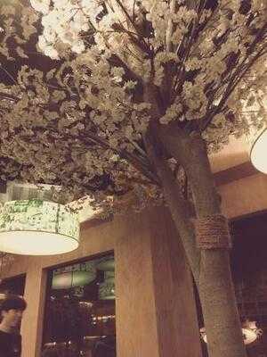 아비꼬 신사가로수길점