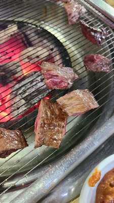 안동황소고집식육식당