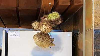 금수복국 대치점