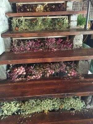 카페413프로젝트