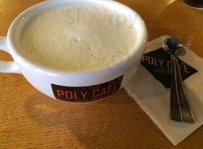 폴리카페앤티