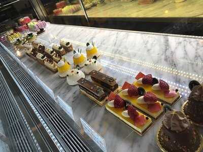 가토 드 보야주