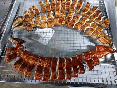 풍천양만 민물장어