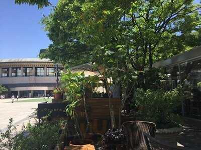 카페모차르트502