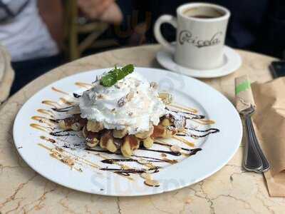 세시 셀라 압구정점